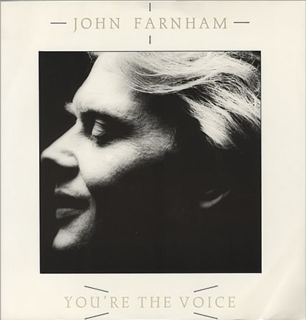 You're The Voice