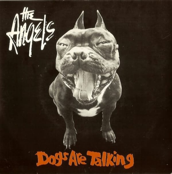 Dogs Are Talking
