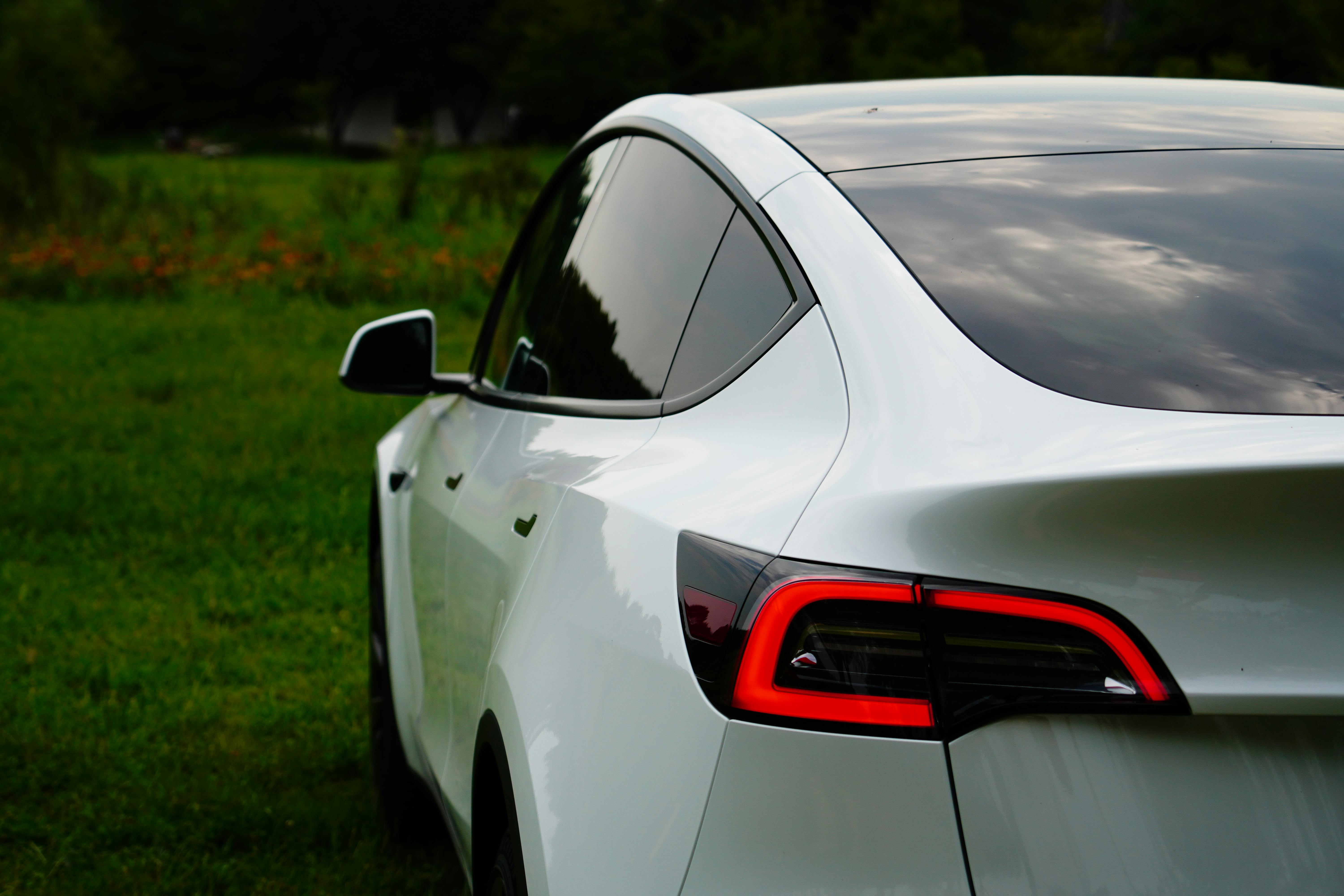 A white Tesla Model Y parked in a lush green outdoor setting, highlighting its sleek design.