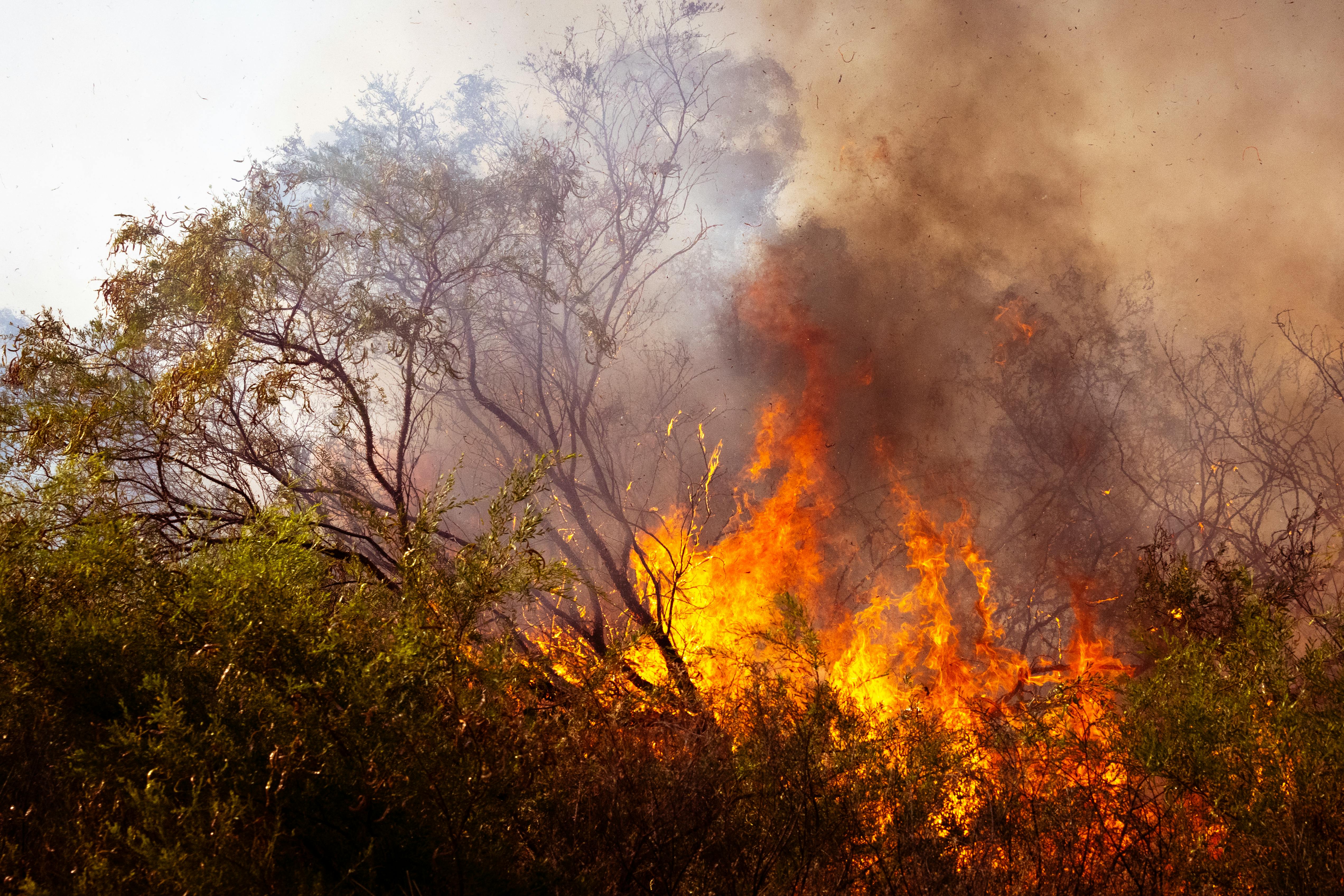Bushfire in Australia