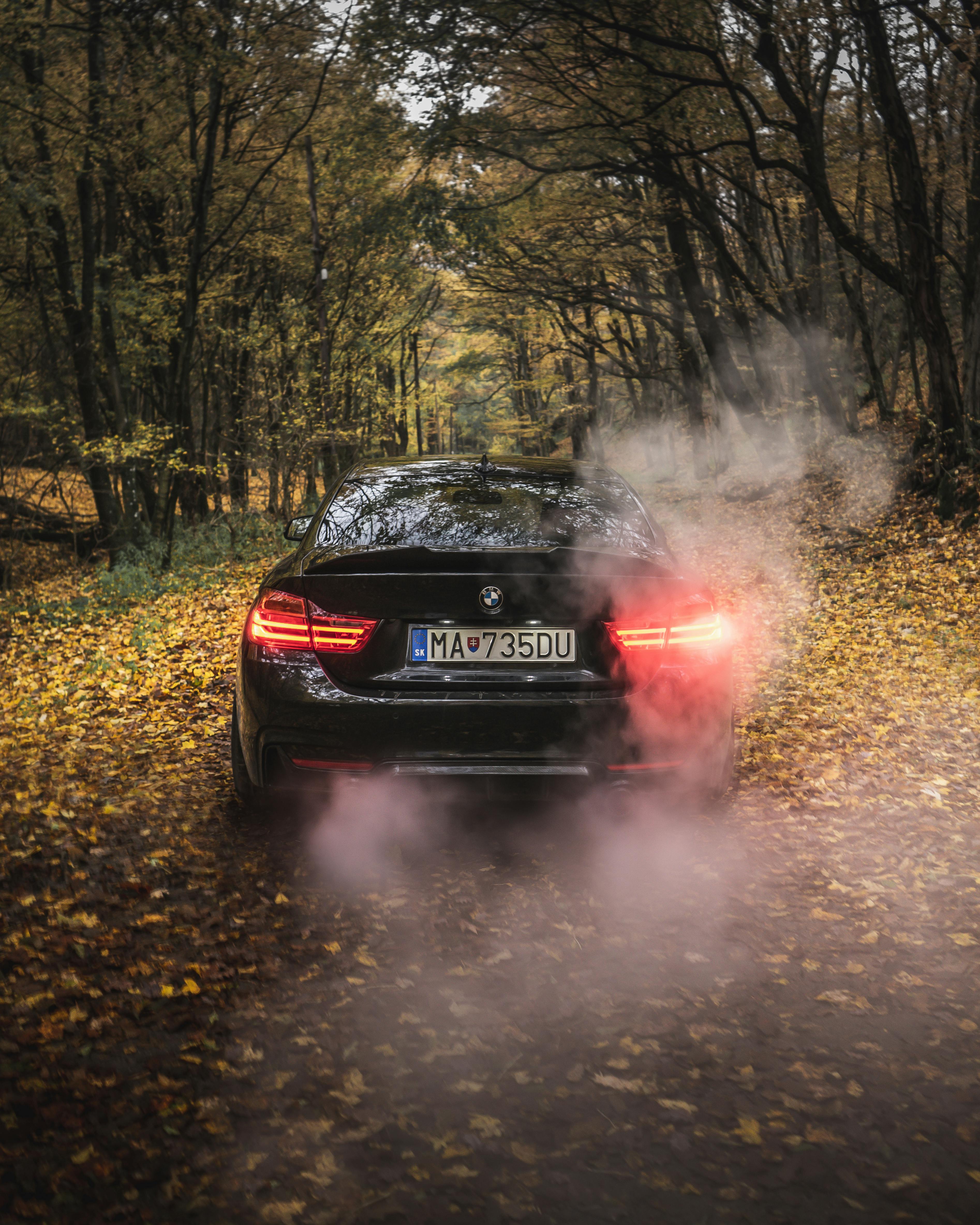Sparkling black automobile parked on road among bright yellow autumn leaves in forest