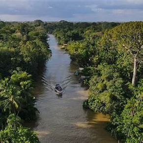 River in rain forest