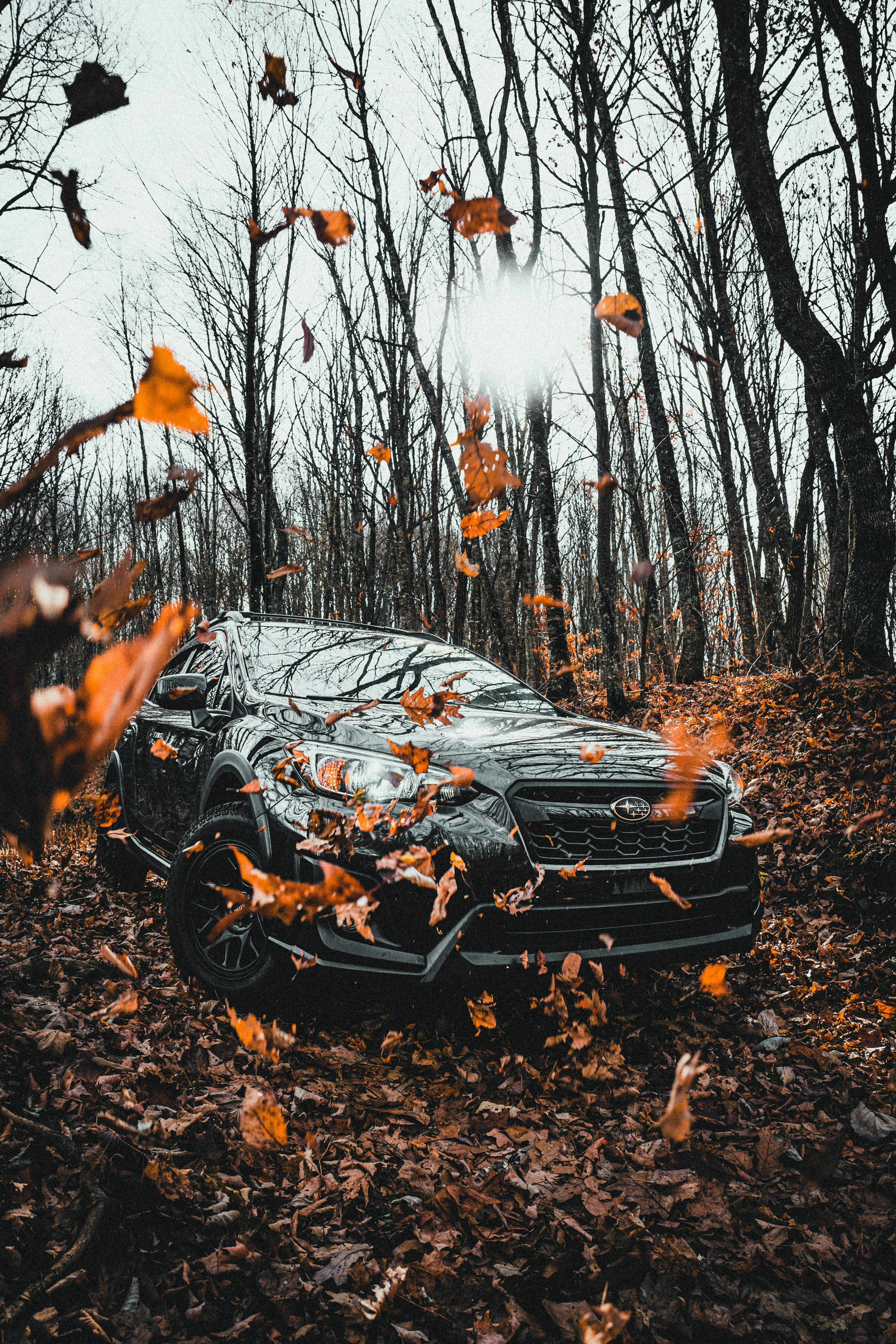 A Subaru SUV drives through a leaf-laden forest in autumn, epitomizing adventure and off-road capability.