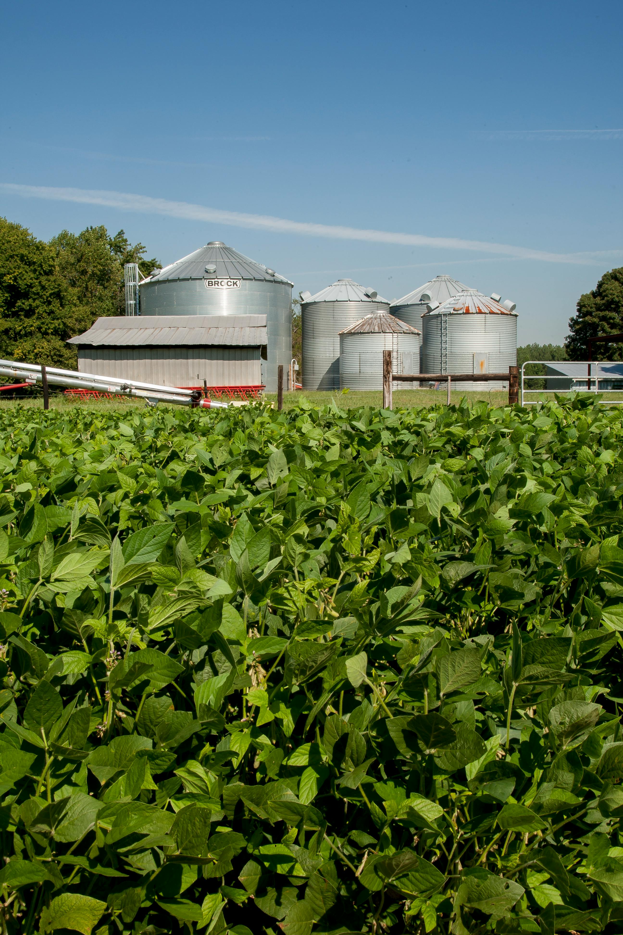 Two children crafting colorful paper shapes, focusing on creativity and fun in an indoor setting.