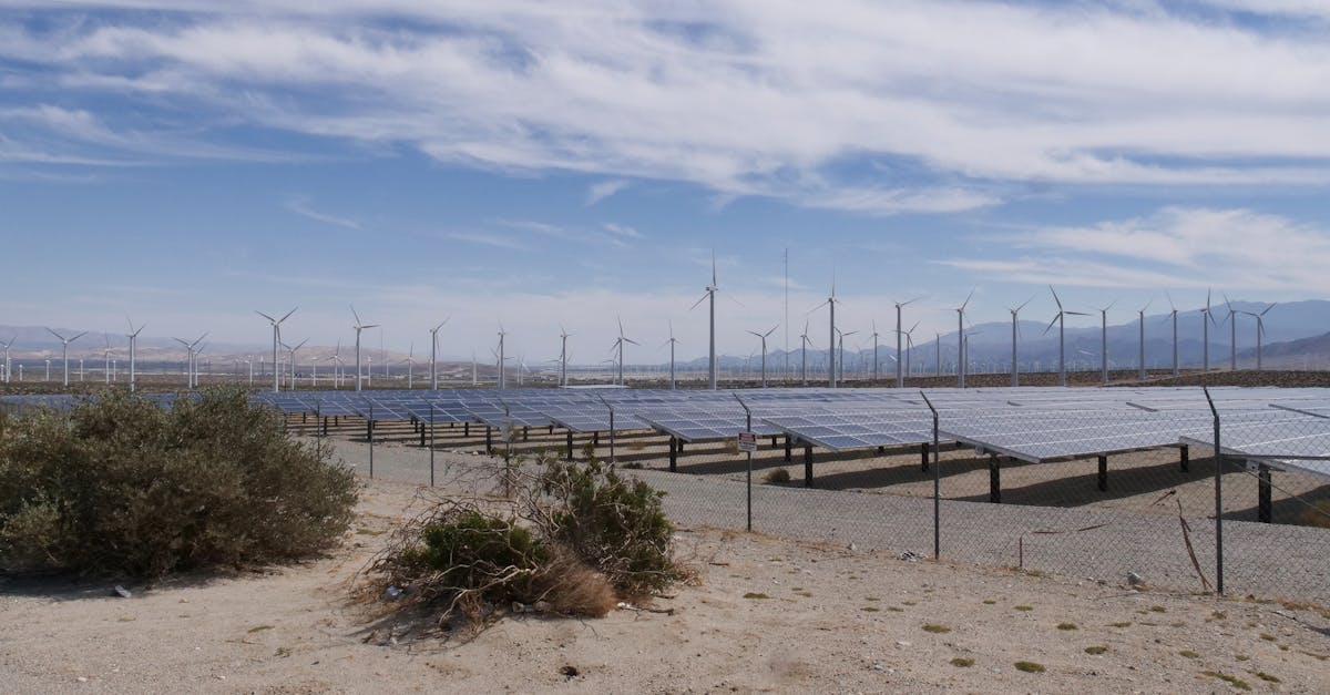 Expansive solar panels and wind turbines in a desert landscape under a bright blue sky.
