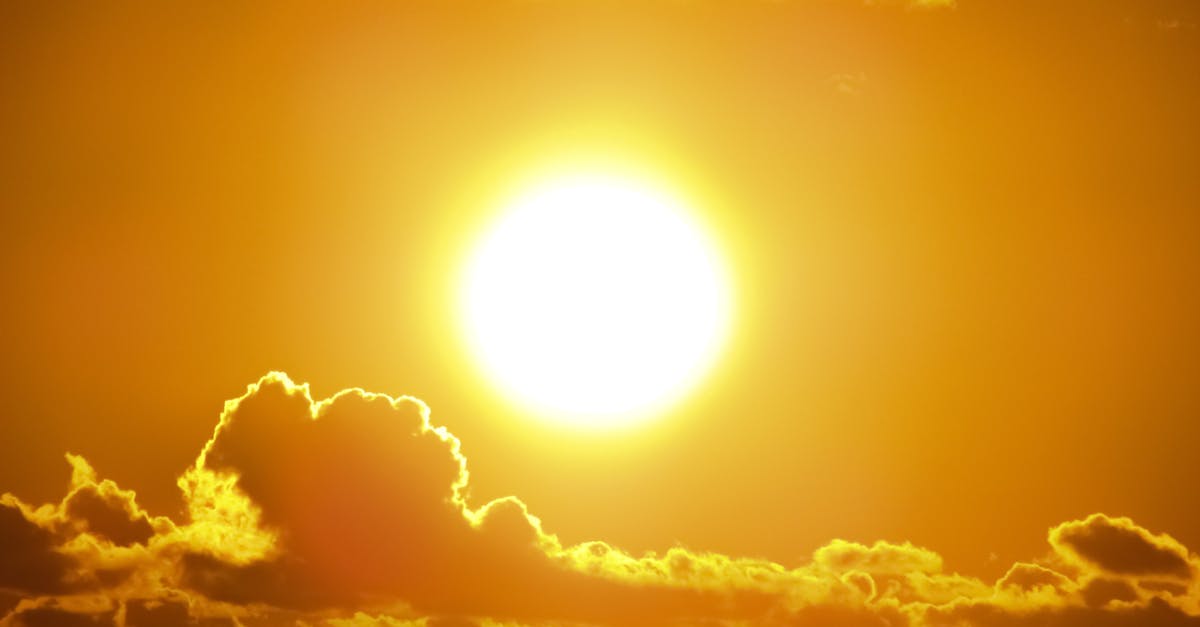A sleek blue Smart Forfour car parked outdoors in an urban setting.