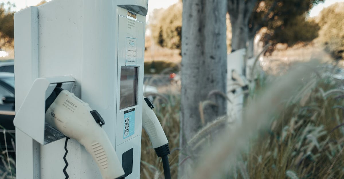 Electric vehicle charging station in an outdoor natural setting, highlighting sustainable technology.