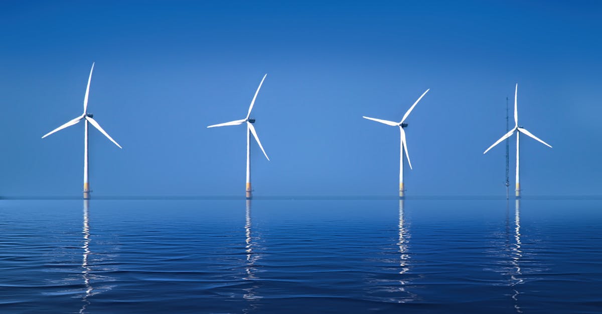 Free stock photo of clean air, environment, ocean