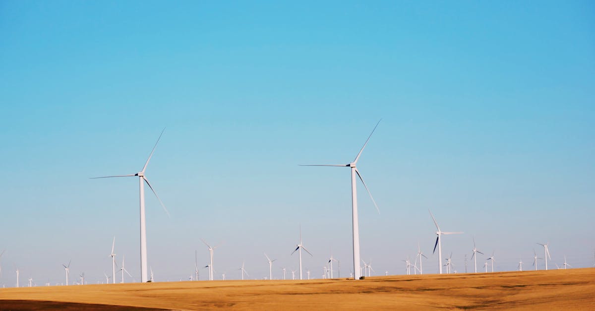 A vast wind farm in a sandy landscape under a clear blue sky, illustrating renewable energy.