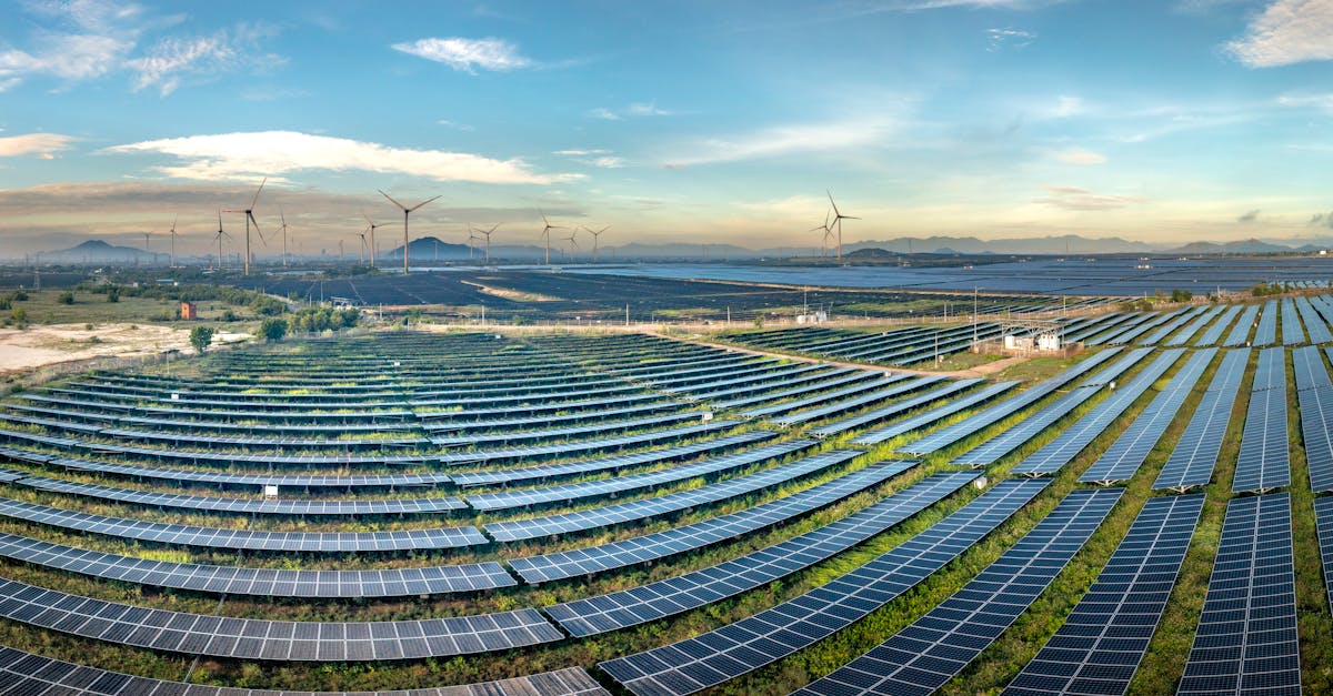 Expansive solar farm with wind turbines in the background under a clear blue sky.