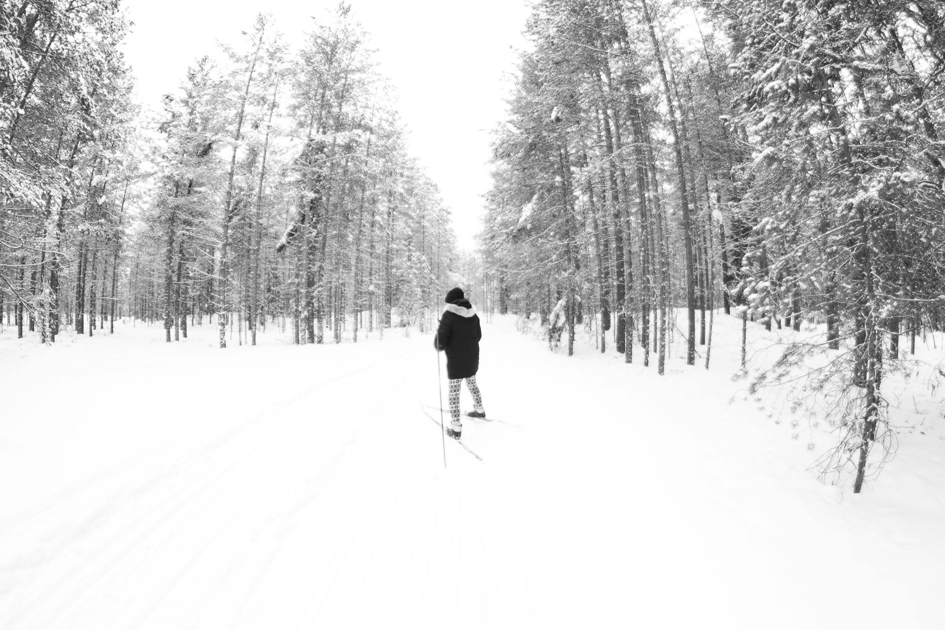 A skier glides through a serene, snow-covered forest during winter. Perfect for winter sports themes.