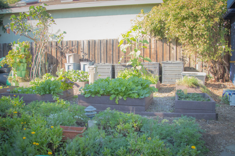 Planters