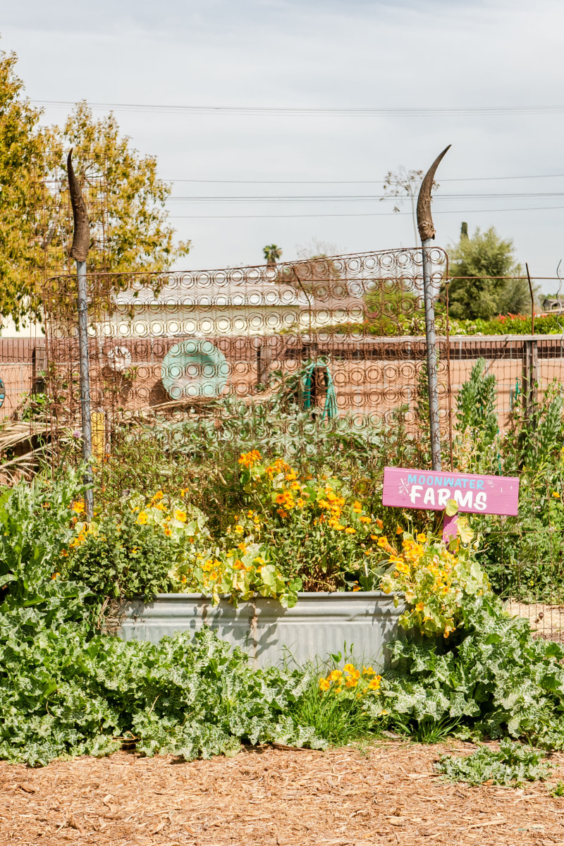 Moonwater Farms