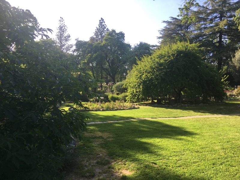 63B39133-80C7-4E20-BB28-15A559EACBDC