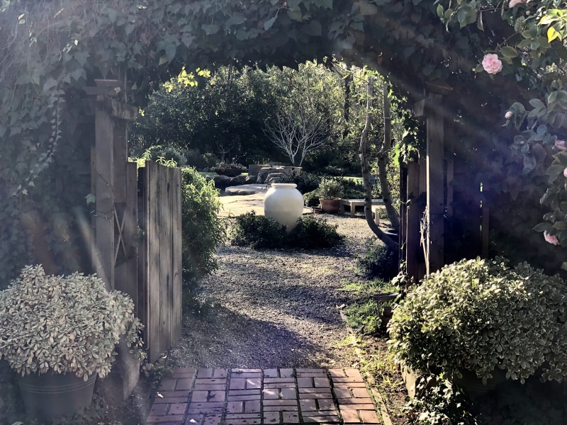 3BECAFFC-AF30-46E2-887D-0E8D1FC273E2