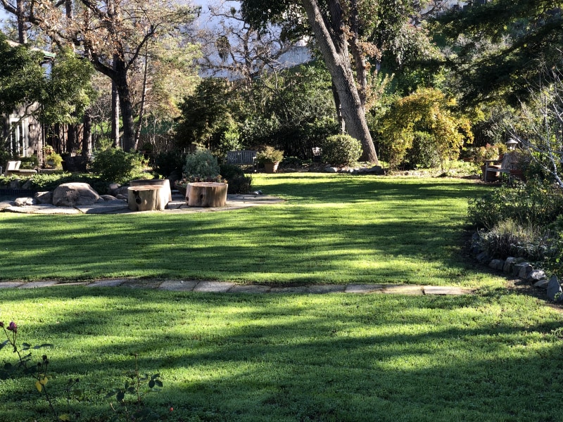 E0925B6B-3F70-4595-9165-BFFA8719B120