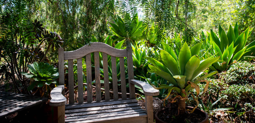 Want pandemic relaxation? Here's why spending time in outdoor garden spaces might help