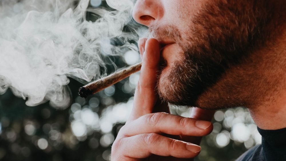 La-La Land Loves their Marijuana