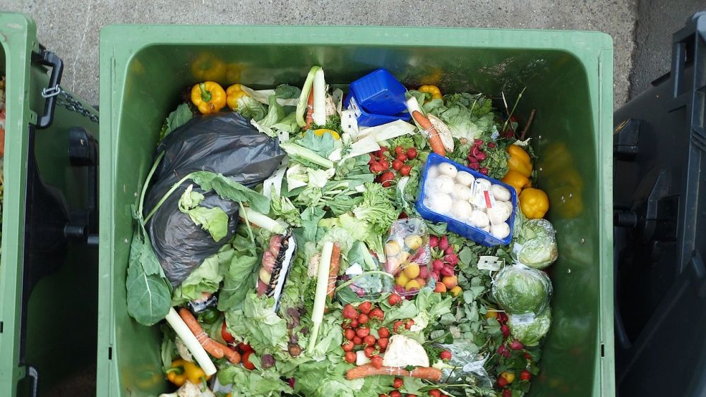 Food Waste, Food Insecurity, and the Right to Food