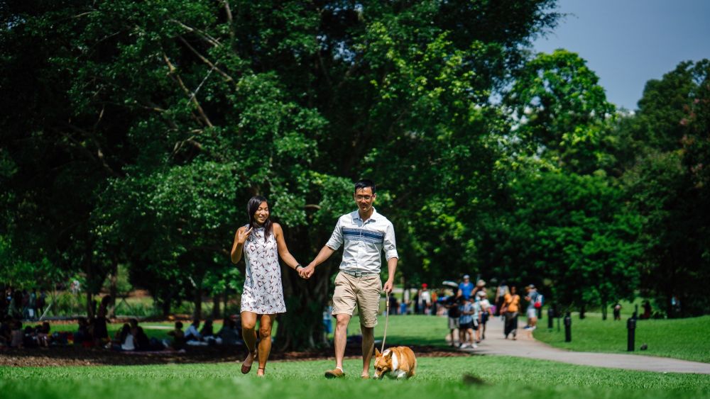 Green Living a Healthier Heart (and We're Not Talking about Just Your Diet)