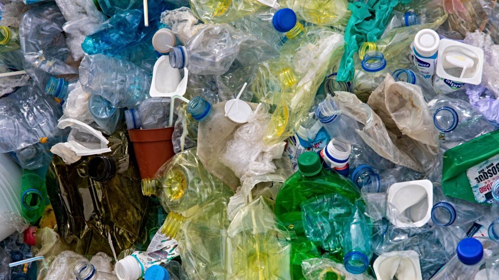 Plastic Bans: Curbing Choice for the Public Good