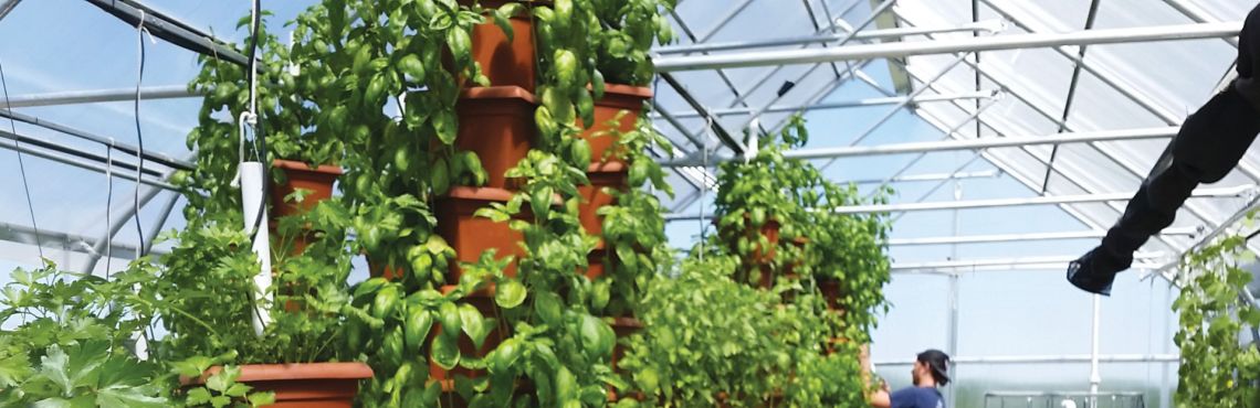 Aquaponics: A Waterway to a Healthier Future?