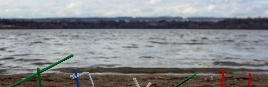 No Straws: Why Seemingly Trivial Efforts Matter in Addressing Our Most Serious Problem