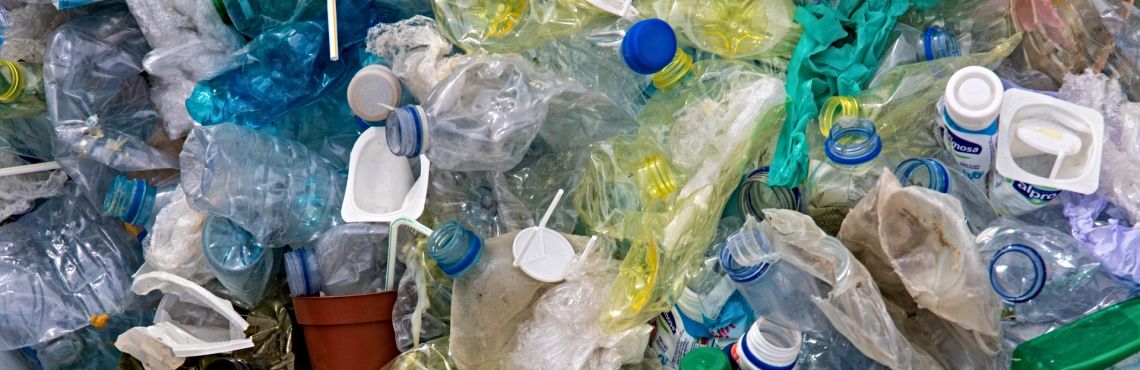 Plastic Bans: Curbing Choice for the Public Good