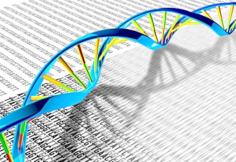 Genome Sequencing