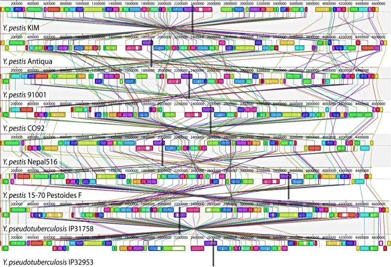 Genomics