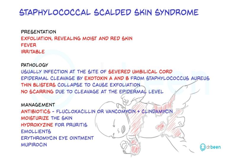 Staphylococcal Scalded Skin Syndrome