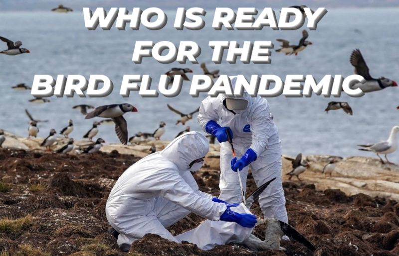 Bird Flu (Avian Influenza)