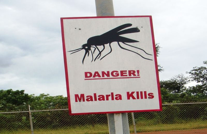 Malaria 