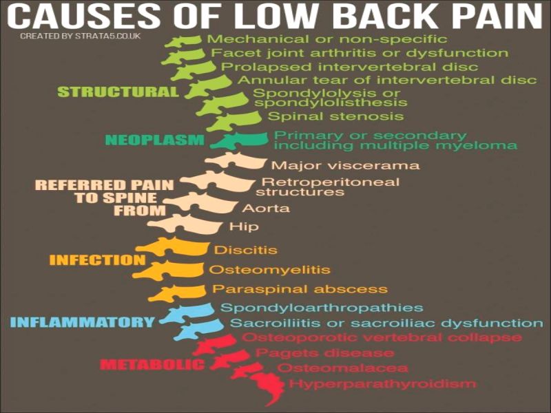 Low Back Pain
