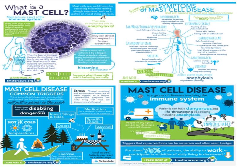 Mast Cell Activation Syndrome