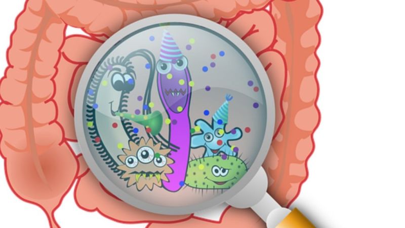 Gut Microbiome