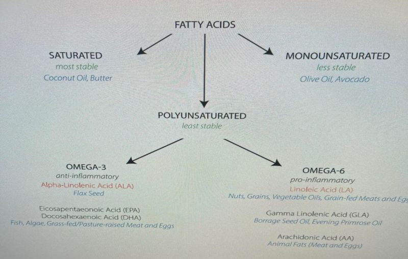 Polyunsaturated Fatty Acids (PUFA)