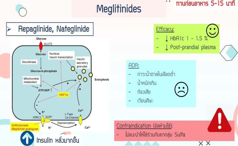 Meglitinides