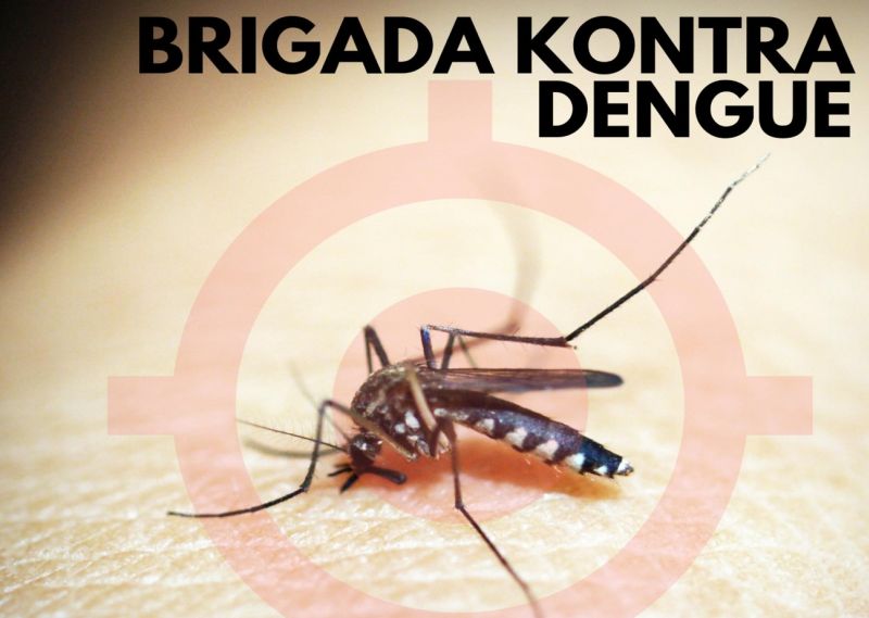Dengue