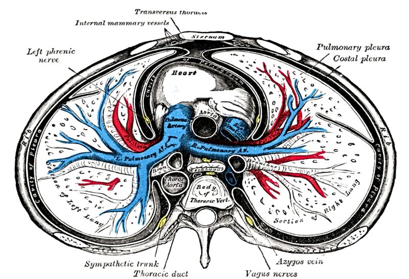 Pericarditis