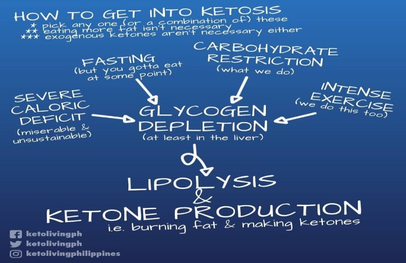 Ketosis