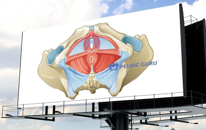 Pelvic Health
