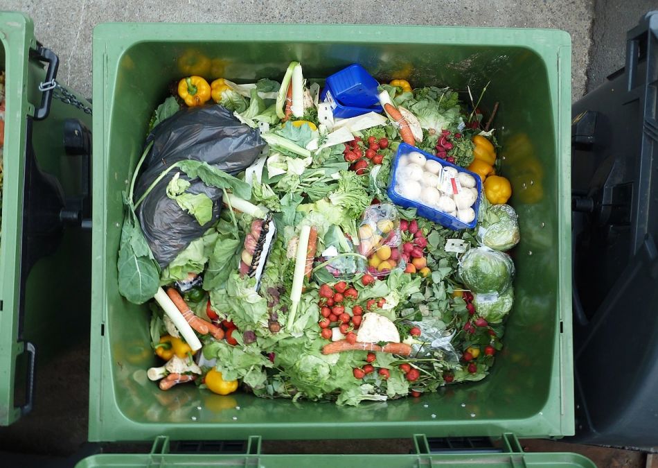 Food Waste, Food Insecurity, and the Right to Food