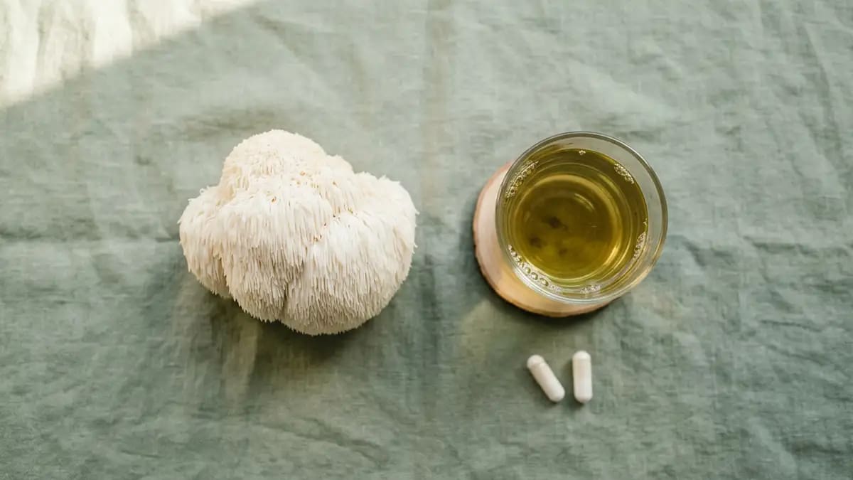 Nootropics for Focus - What Science Really Says About Lion's Mane and L-Theanine