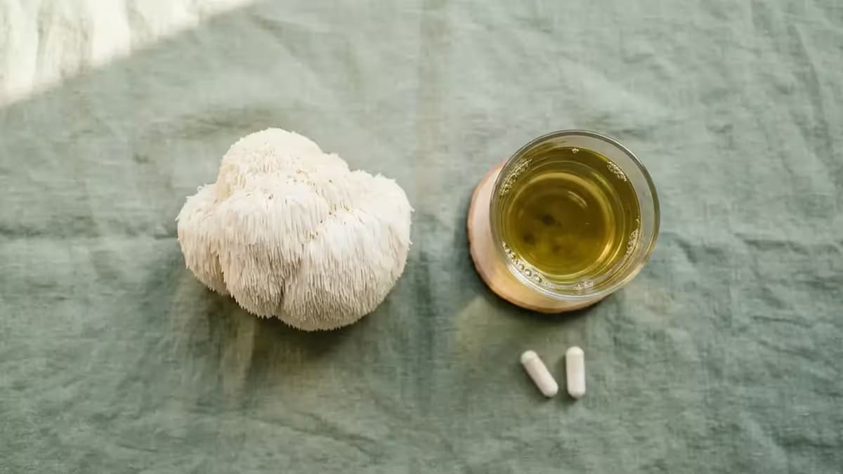 Nootropics for Focus - What Science Really Says About Lion's Mane and L-Theanine