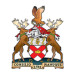 compay_logo_RoyalCollegeofSurgeonsinIreland-MedicalUniversityofBahrain_598412f67027e.png