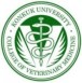 compay_logo_KonkukUniversityCollegeofMedicine_5981b4787e80c.jpeg