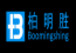 compay_logo_Shenzhen Boomingshing Medical Device Co., Ltd..png