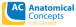 compay_logo_ANATOMICALCONCEPTSUKLTD_56e917fc4963b.png