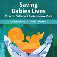 Saving Babies Lives: Reducing Stillbirth and Implementing SBLv3 2024